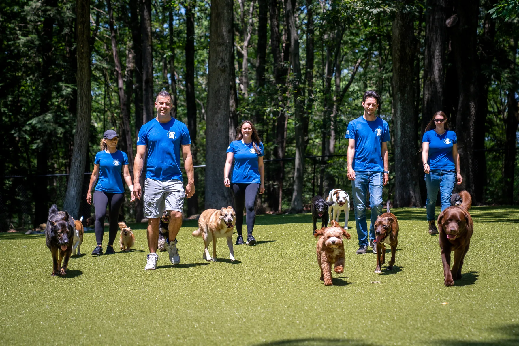 Steve Del Savio and the team walking the Club's pack across the turf yard in the woods.