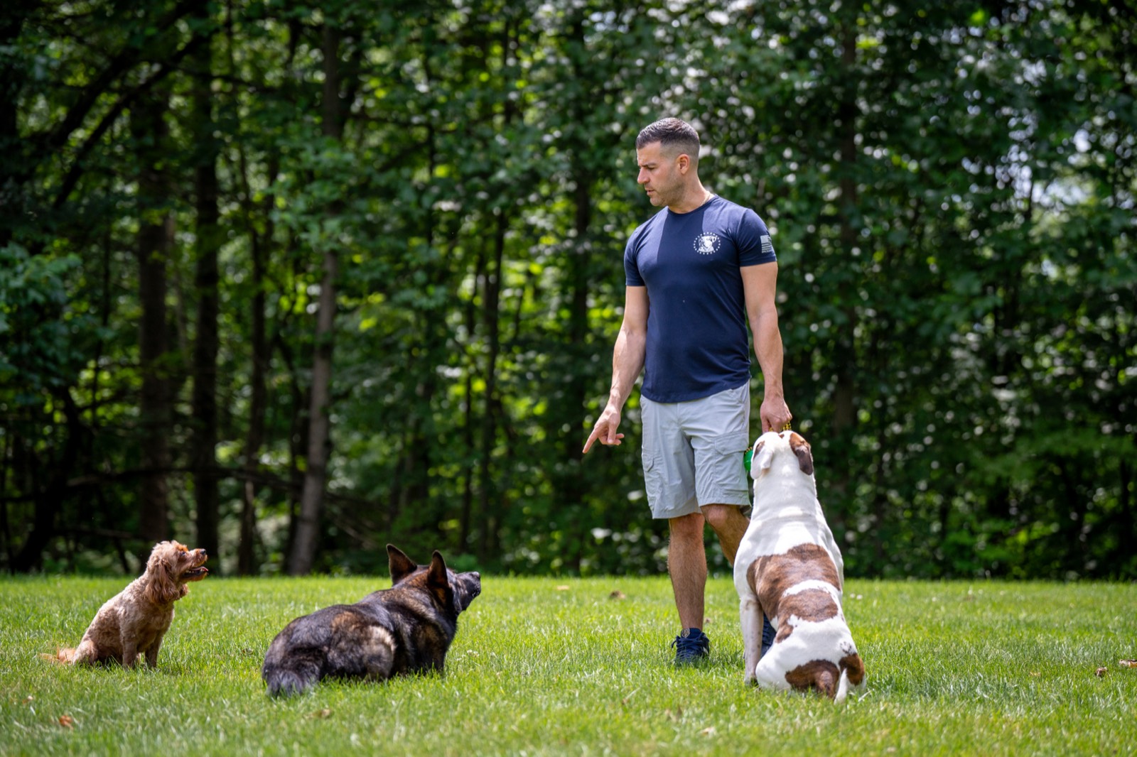 Steve Del Savio giving a hand signal as three dogs hold position around him on the lawn
