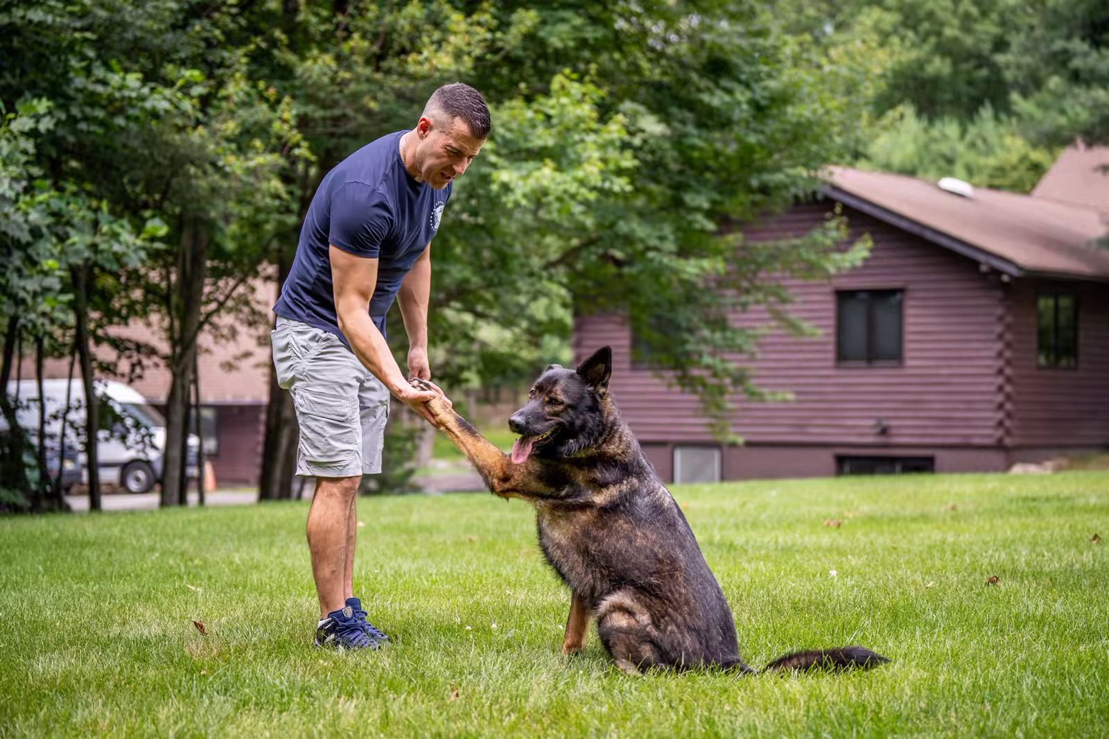A trainer and a German Shepherd shaking paws on the great lawn at The Maddie Ranch