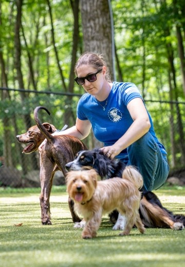 A Pack Leader Dogs team member on the turf yard, at play with a group of small dogs.
