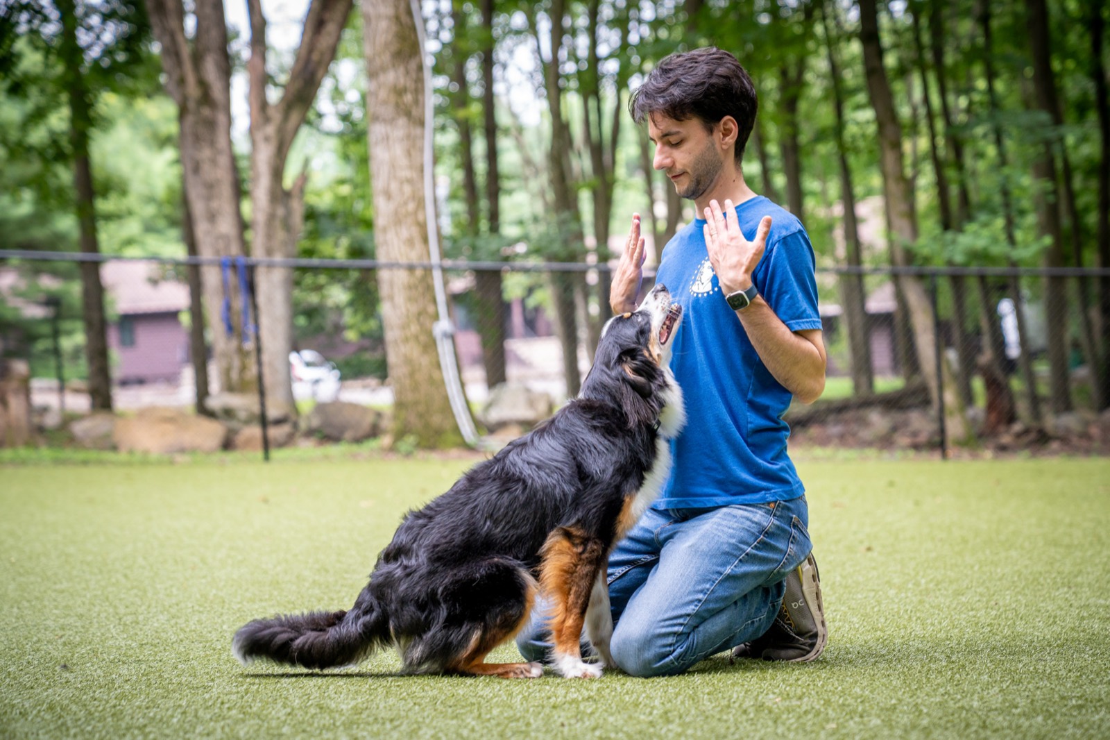 Dave DeSantis kneeling face to face with a Bernese mountain dog, giving a two-handed training cue