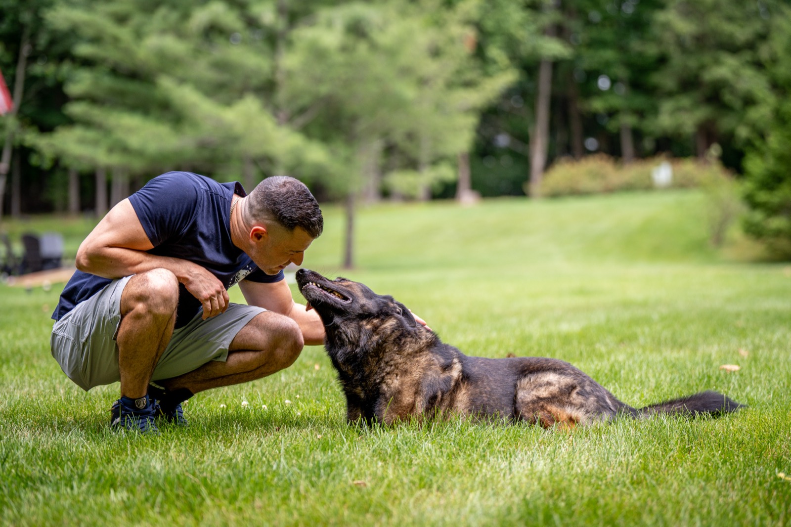 Steve Del Savio crouched nose to nose with a relaxed German Shepherd lying on the lawn