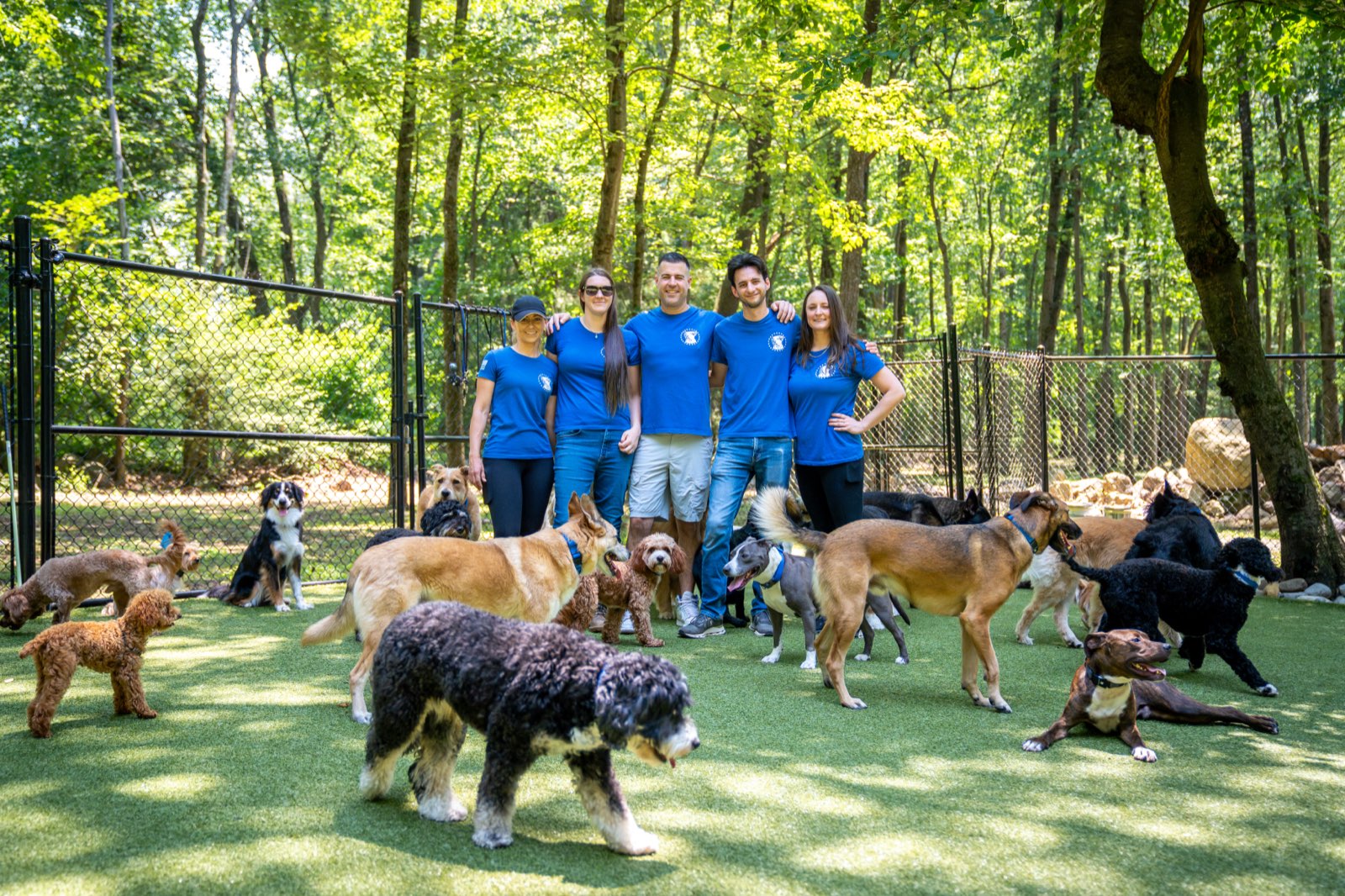The full Pack Leader Dogs team standing together among a large, calm pack of dogs in the fenced play yard