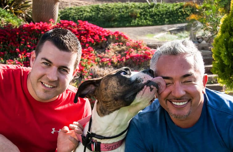 A younger Steve Del Savio with Cesar Millan and a pit bull between them