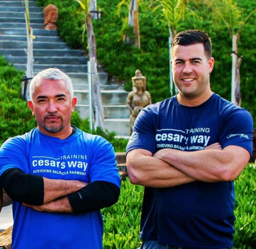 Steve Del Savio and Cesar Millan standing with arms crossed in matching Training Cesar's Way shirts