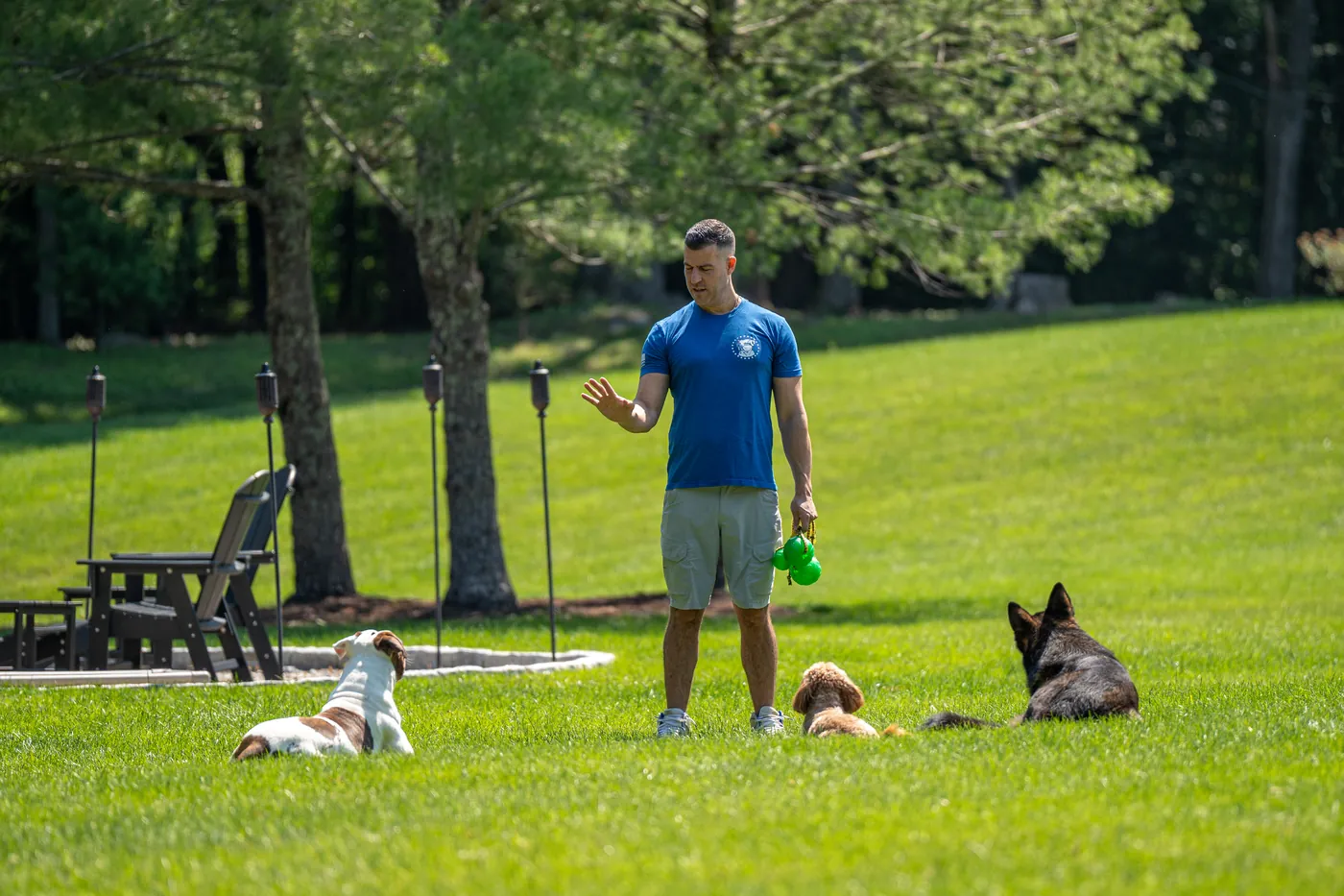 Steve Del Savio on the great lawn giving a hand signal as three dogs hold their positions around him.