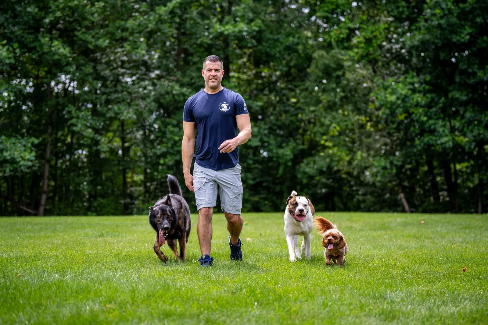 Steve Del Savio walking across the lawn with a shepherd, a bulldog and a cavapoo beside him.