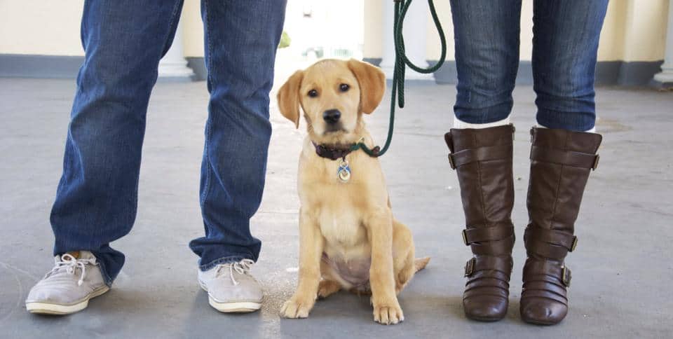 Katie crouched beside Riley, her dog, at one of his weekly visits with Steve.
